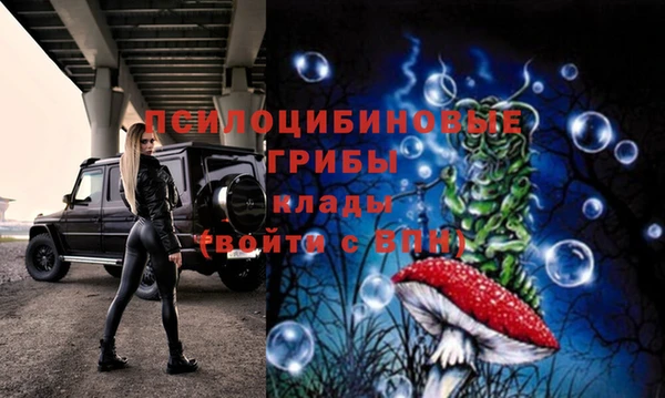 мдпв Володарск