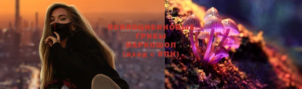 мдпв Володарск