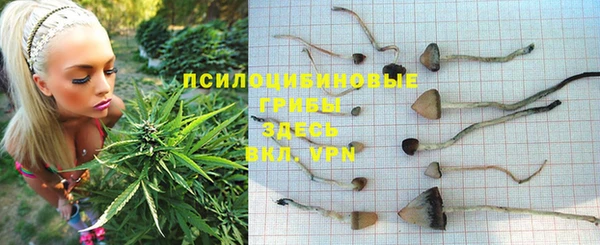 мдпв Володарск