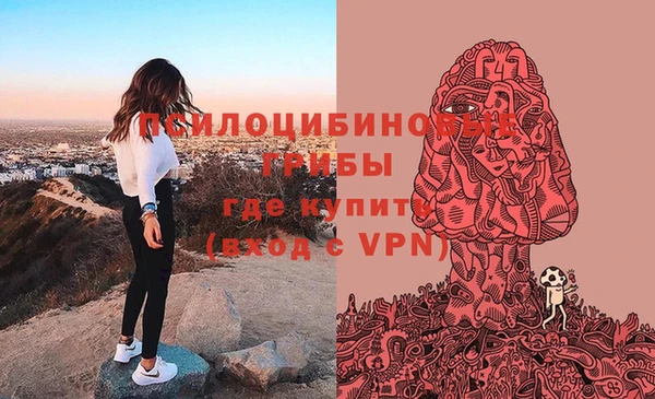 мдпв Володарск