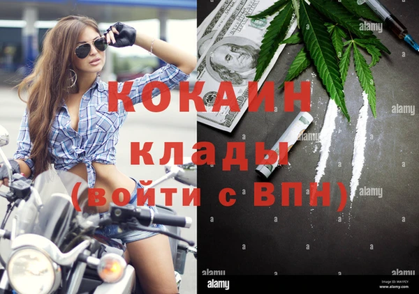 мдпв Володарск