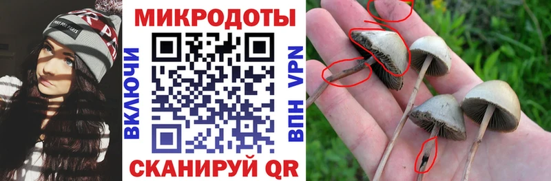 Купить где  Разумное  Галлюциногенные грибы Cubensis 