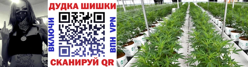 Шишки марихуана THC 21%  Купить закладки  Разумное 